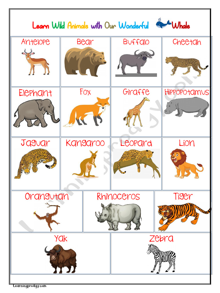 wild-animals-chart-for-kg-pdf