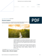 Floresta Tropical_ Resumo, Características, Localização