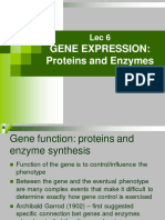 Lec 6 Gene Functions
