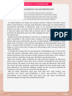 Estarcansadanamaternidade PDF