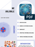 Proteine Solubile - 20240423 - 125200 - 0000