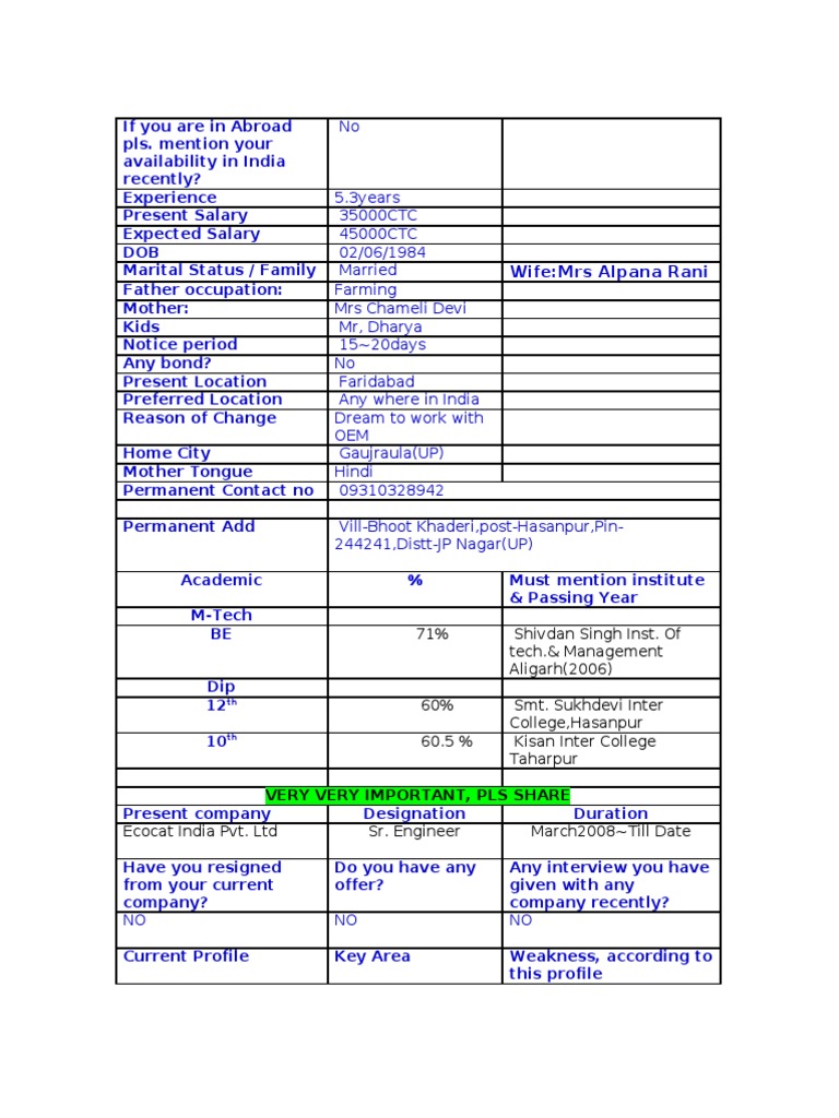 Job Application Profile Summary | PDF