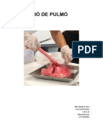 Dissecció D'un Pulmó - Aguilera - Biel - Pràctica 1 - 1BTXB