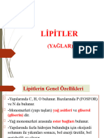 2 Li̇pi̇tler