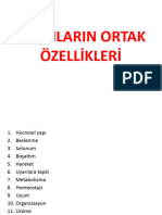 9.Sinif Canlilarin Ortak Özelli̇kleri̇