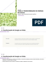 Tema 4 -Transformação de Energia na Célula