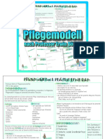 119 Pflegemodellnach Erwin Boehm