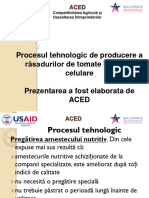 Producerea Rasadurilor in Palete ACED 2013