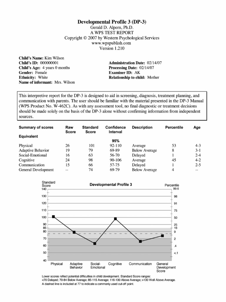 DP 3 Test Report | Download Free PDF | Psychological Concepts | Cognition