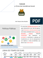 4 Slide Suas - Pnas