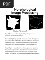 Morphology