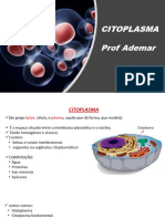 Citoplasma - Organelas Celulares.
