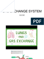 Gas Exchange System