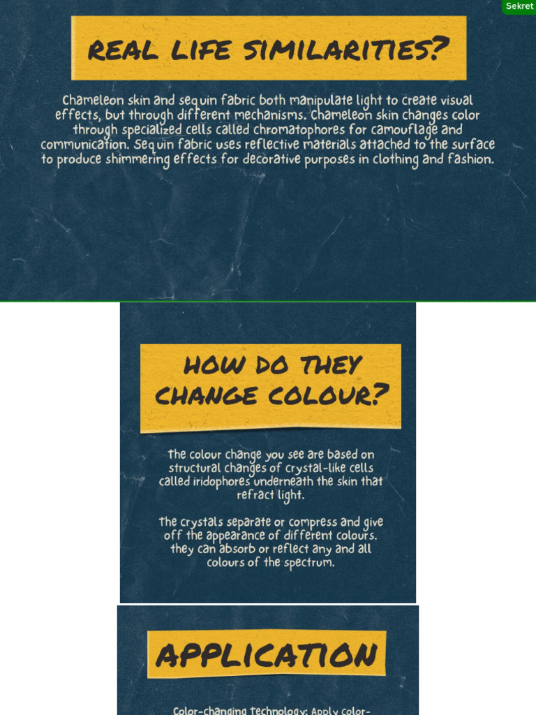 Why Chameleons Change Colour | PDF