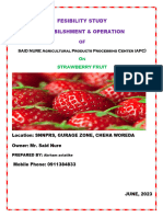 Srawberry Fruit Processing Industry-2015