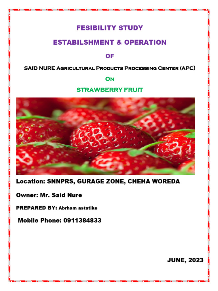 Strawberry Processing Center Feasibility Study | PDF | Net Present ...