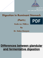 Digestion in Ruminant Stomach 
