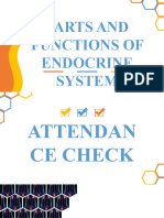 Endocrine System