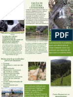 Brochure Presentación corporativa con fotografías verde y blanco