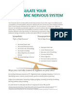 Ans Regulation Flyer-Sawle