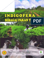 Indigofera Sebagai Pakan Ternak