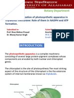 Kanchan Yadav , U2275154, The organization of photosynthetic apparatus in thylakoids membrane