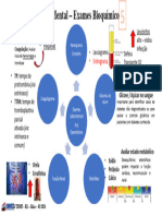 Mapa Mental - Exames Bioquímicos