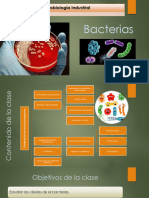 Bacterias