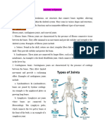 Anatomy Assignment