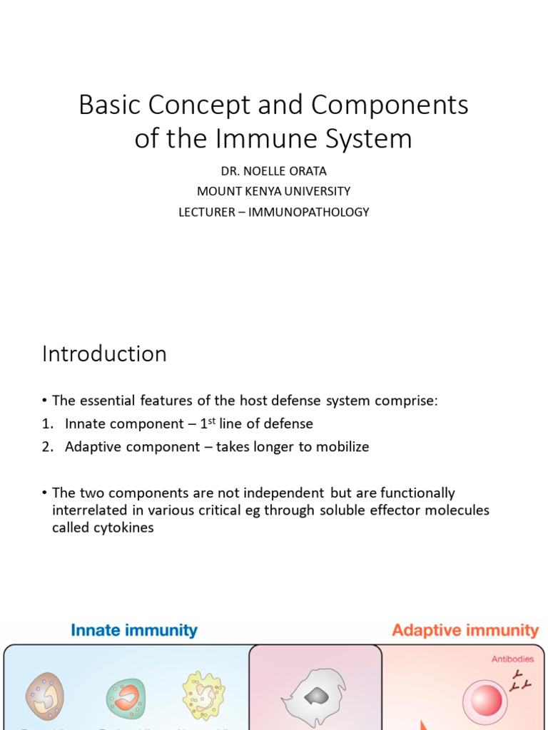 Basic Concept and Components of The Immune System | Download Free PDF ...