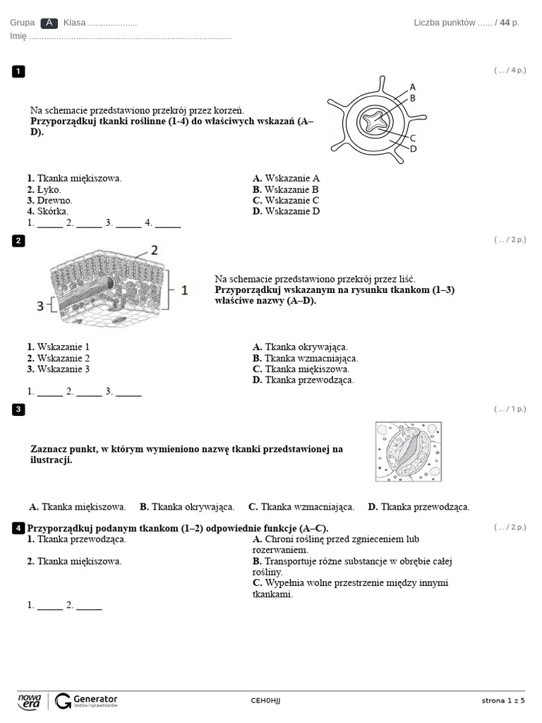 Tkanki I Organy Roślinne Zadania Test - Ekowydruk | PDF