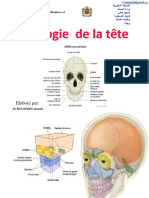 Osteologie Crane.elkhalladi