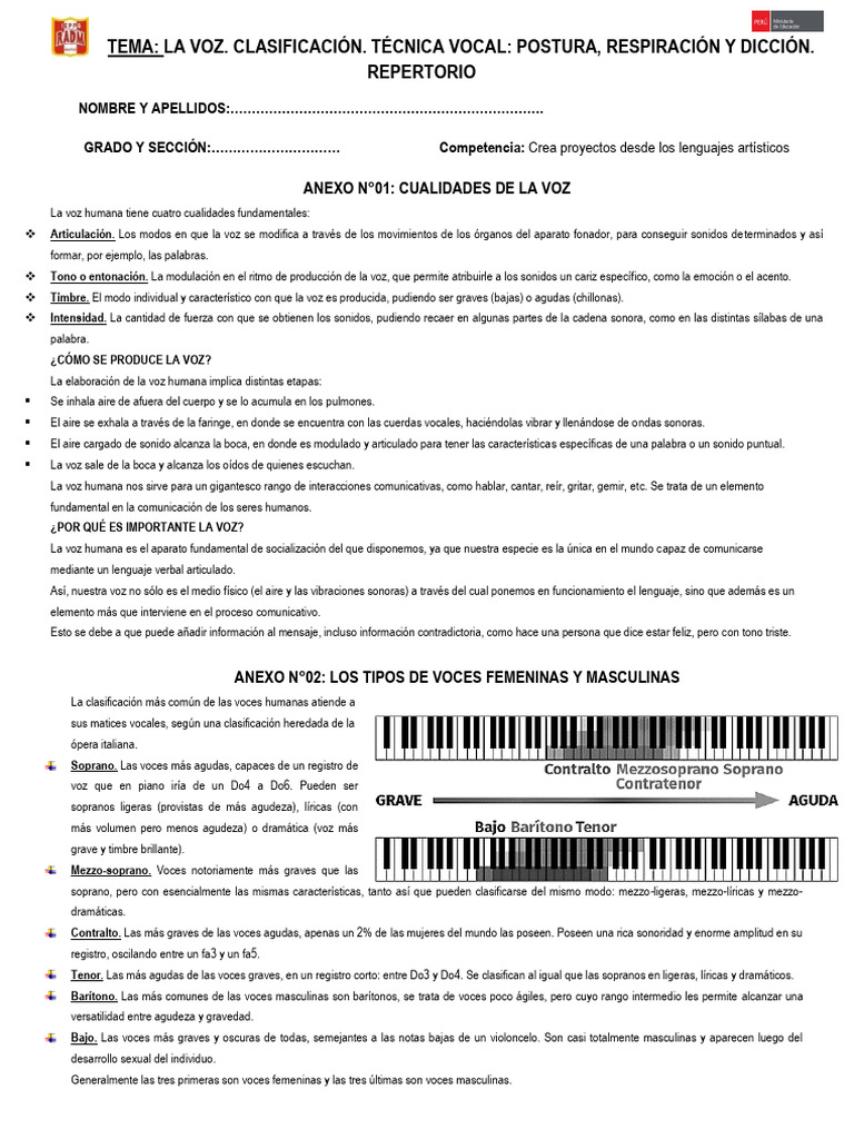 Clasificación y Técnicas de la Voz | PDF | Sonido | Voz humana