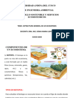 Estructura General de Un Ecosistema