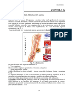 4 Inflamación-Reparación