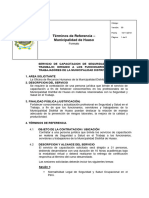 TDR Seguridad y Salud en El Trabajo - Municipalidad de Huaso