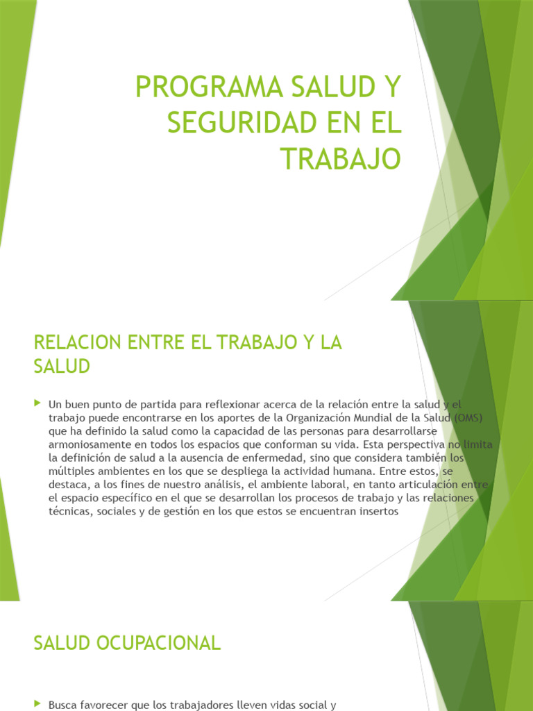 172 Programa de Seguridad y Salud en El Trabajo | PDF | Seguridad y ...