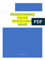 EL PROCESO ECONÓMICO-JUICIO DE CUENTAS Y AMPARO