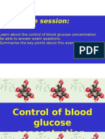 Blood Glucose Regulation