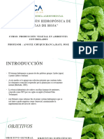 PRODUCCIÓN HIDROPÓNICA DE HORTALIZAS DE HOJA. PPT FINAL. Alvarez - Güido Anthony