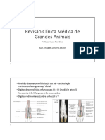 Revisão V1 Clínica Médica de Grandes Animais 1