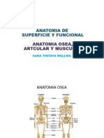 Anatomia de Funcional Osea, Articular y Muscular. Uru