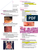 Histo sp4