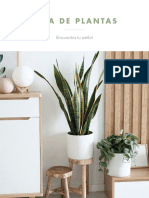 Plantas en Interiores