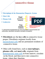  connective tissue 