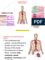 Cardiovascular System Histology