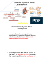 Development Cardio 1