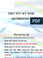 TIẾT TÚC Y HỌC 7 2