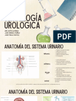 Semiología Urológica - Compressed