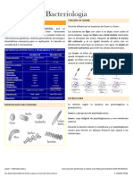 3 Bacterio Parcial